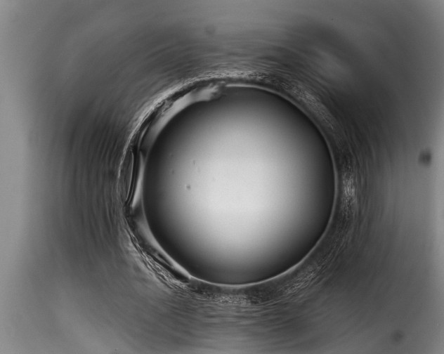 X0000116000628200911191425