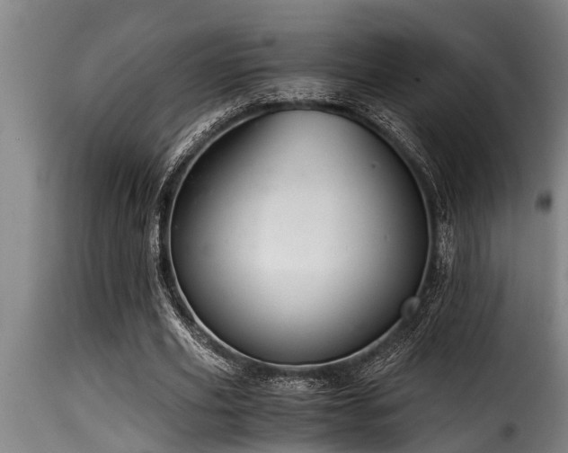 X0000116000629200911191425