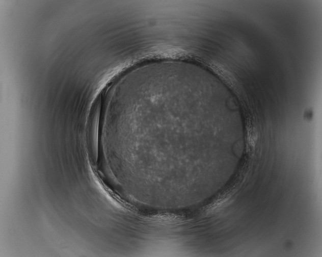 X0000116000630200911191425