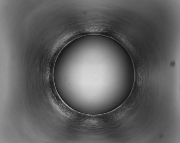 X0000116000631200911191425