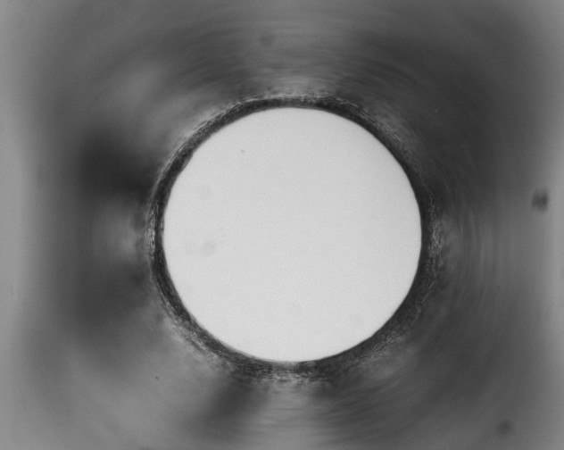 X0000116000632200911191425