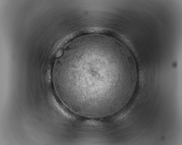 X0000116000633200911191425