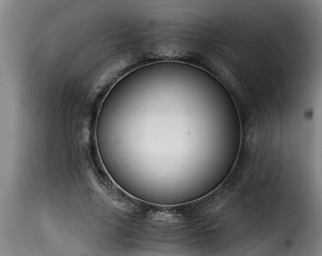 X0000116000635200911191425