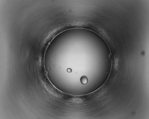 X0000116000636200911191425