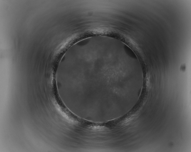 X0000116000637200911191425