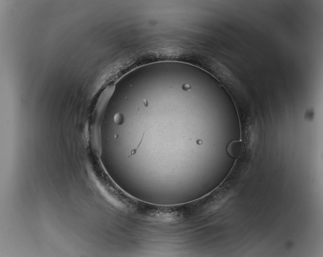 X0000116000638200911191425