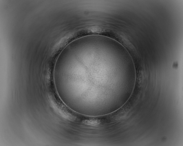 X0000116000639200911191425