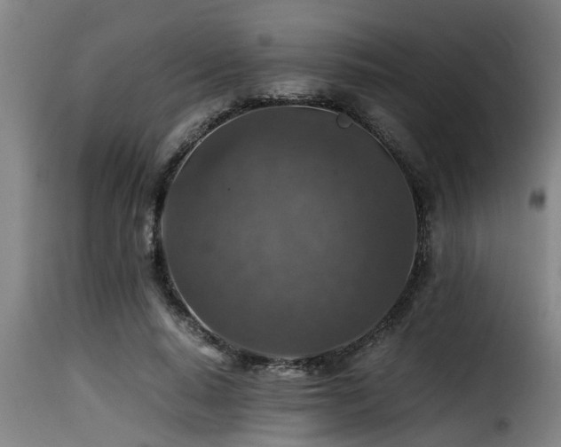 X0000116000640200911191425