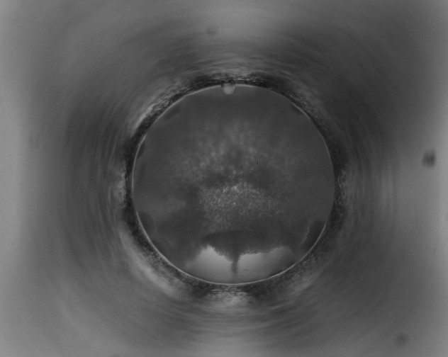 X0000116000642200911191425