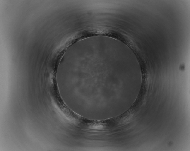 X0000116000643200911191425