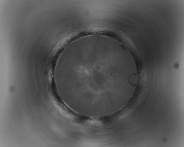 X0000116000644200911191425