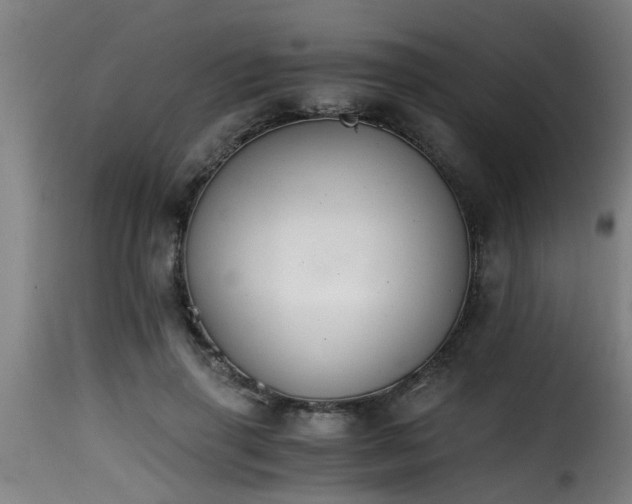 X0000116000645200911191425