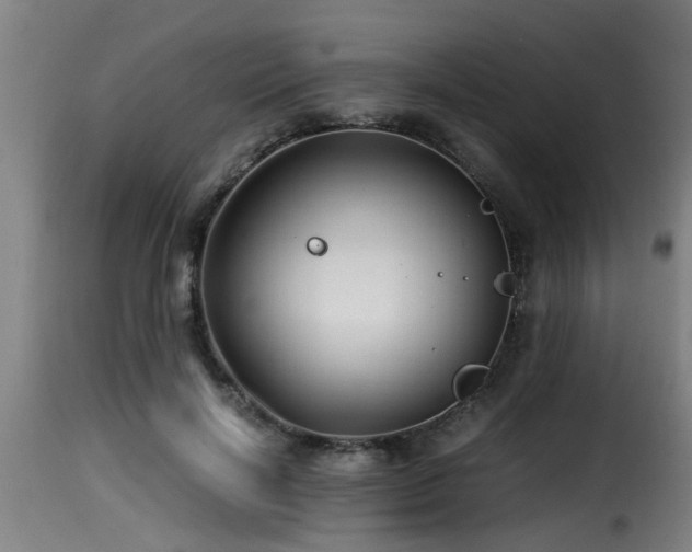 X0000116000646200911191425