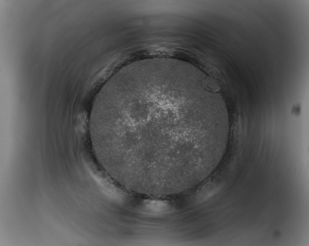 X0000116000649200911191425