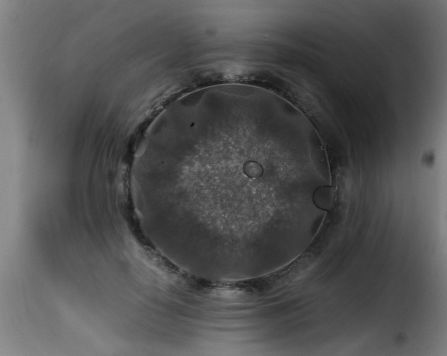 X0000116000650200911191425