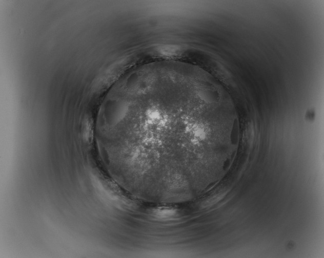 X0000116000651200911191425