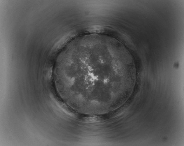 X0000116000652200911191425