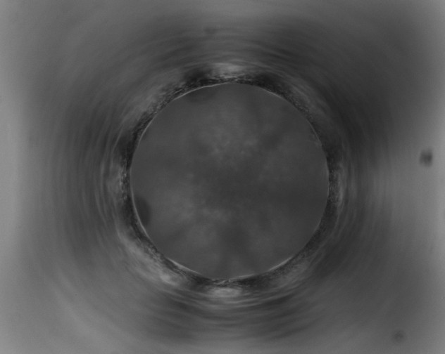 X0000116000653200911191425