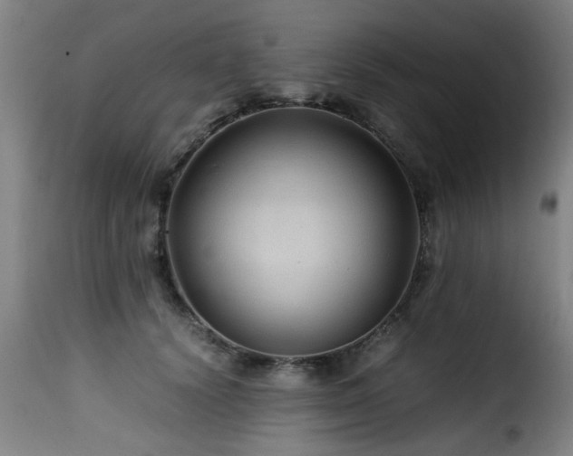 X0000116000656200911191425