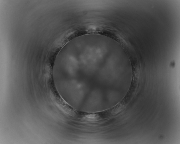 X0000116000659200911191425