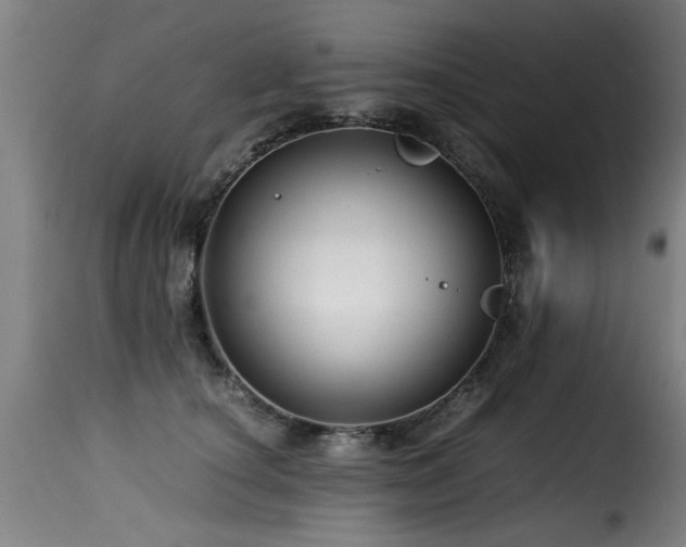 X0000116000660200911191425