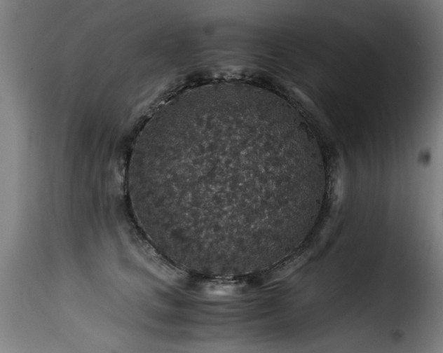 X0000116000661200911191425