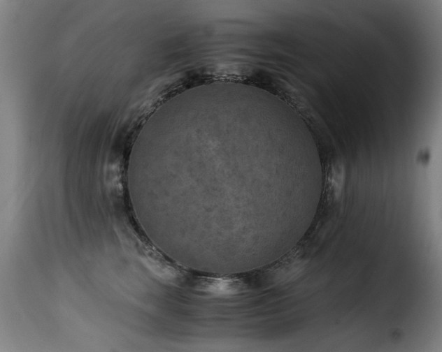 X0000116000663200911191425