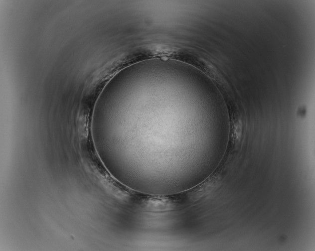 X0000116000666200911191425