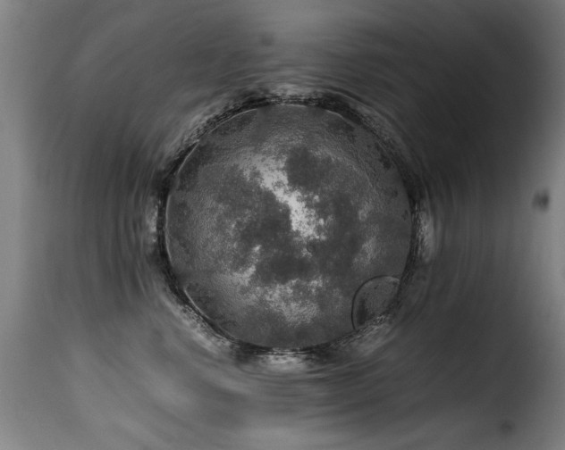 X0000116000668200911191425