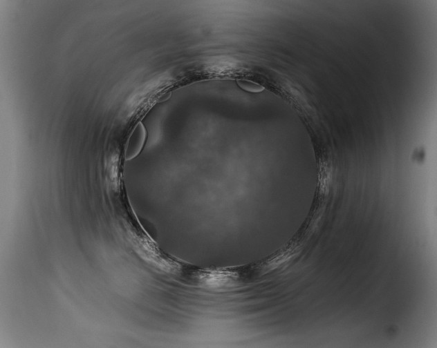 X0000116000670200911191425