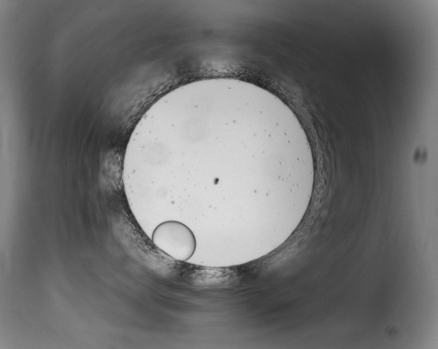 X0000116000672200911191425