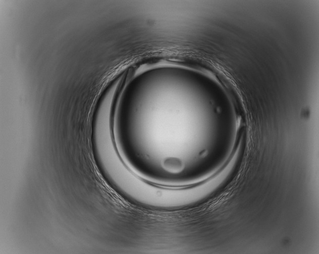 X0000116000673200911191425