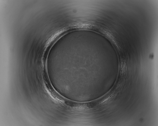 X0000116000674200911191425