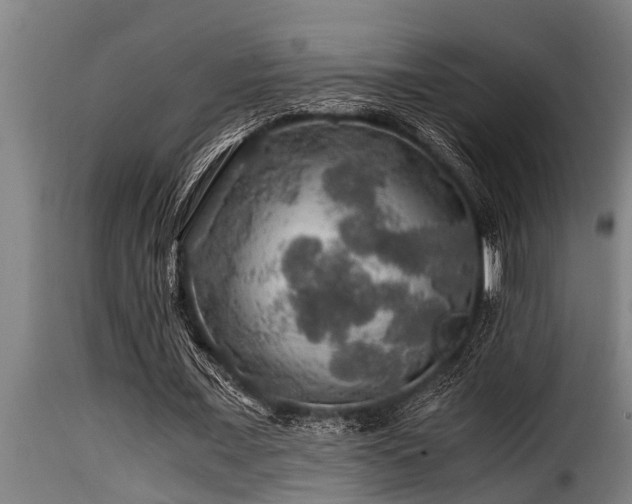 X0000116000675200911191425