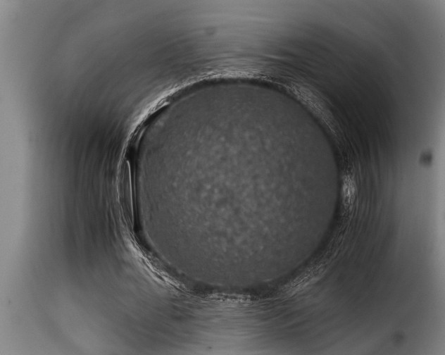 X0000116000676200911191425