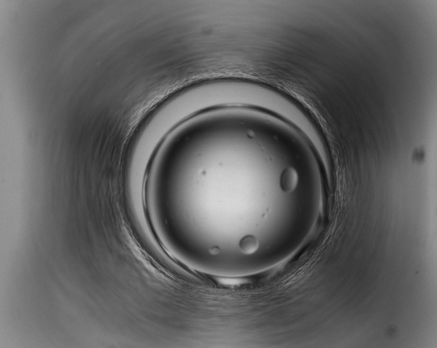 X0000116000677200911191424