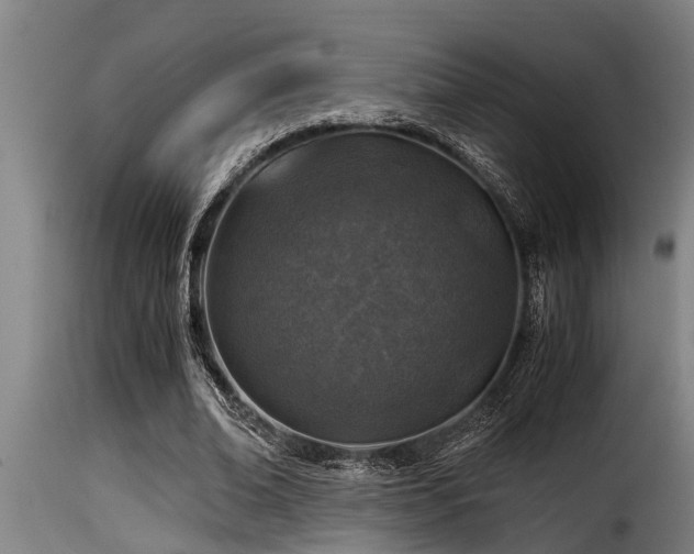 X0000116000678200911191424