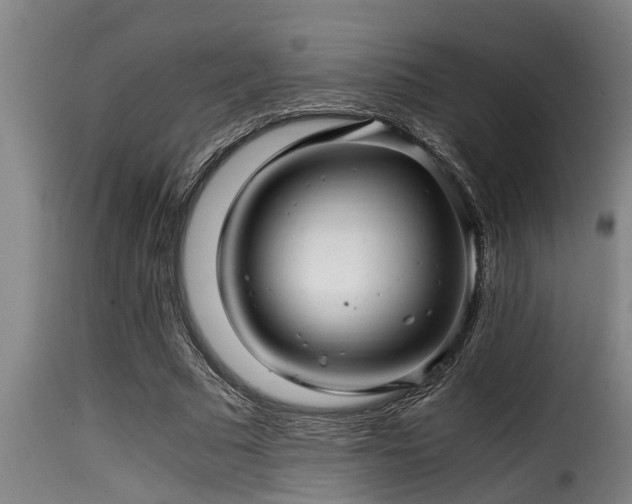 X0000116000681200911191424