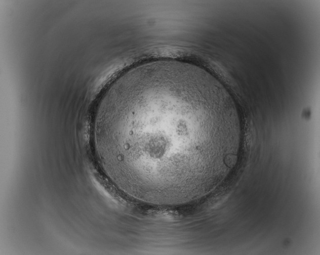 X0000116000683200911191424