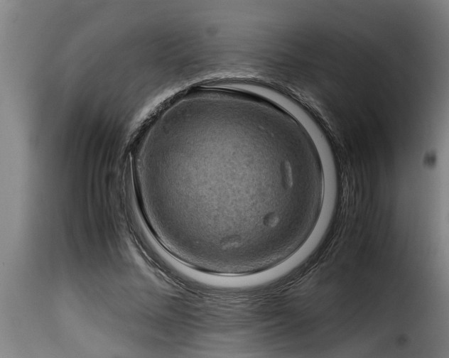 X0000116000684200911191424