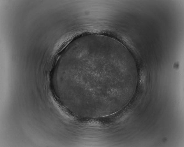 X0000116000685200911191424