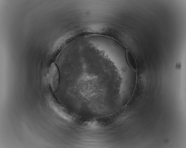 X0000116000688200911191424