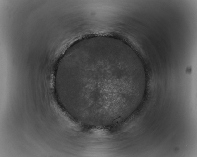 X0000116000689200911191424