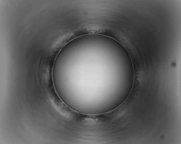 X0000116000690200911191424