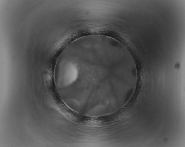 X0000116000691200911191424