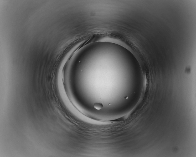 X0000116000692200911191424