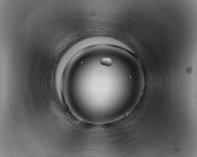 X0000116000696200911191424