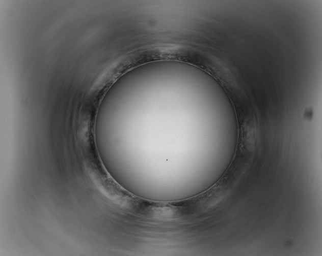 X0000116000698200911191424