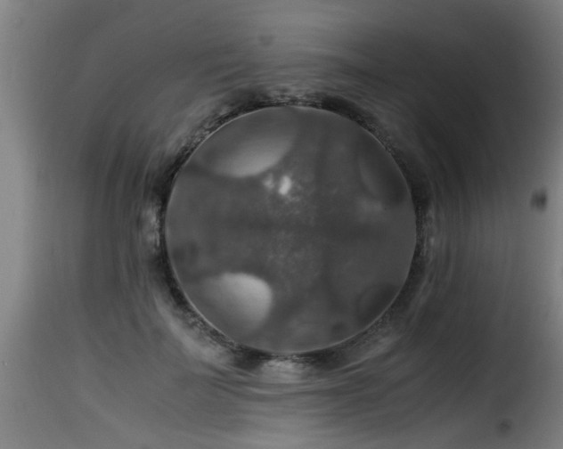 X0000116000699200911191424