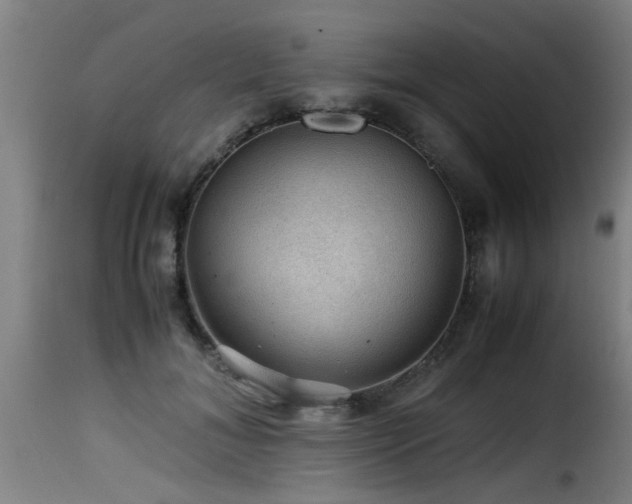 X0000116000700200911191424